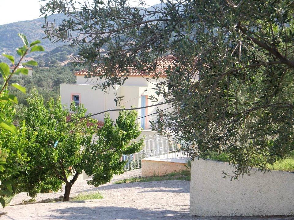 Lassia Studios Petra  Exterior photo